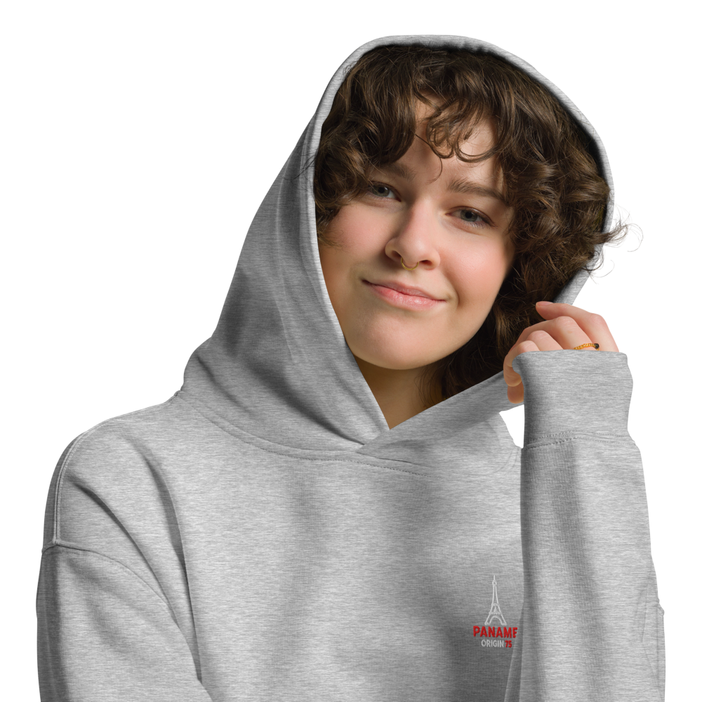 Sweat à capuche oversize unisexe gris clair Paname Origin 75