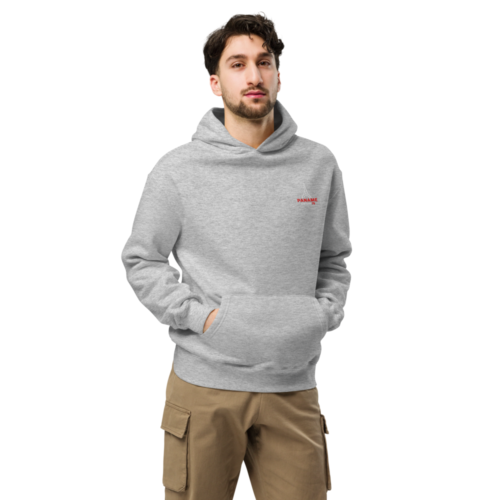 Sweat à capuche oversize unisexe gris clair Paname Origin 75
