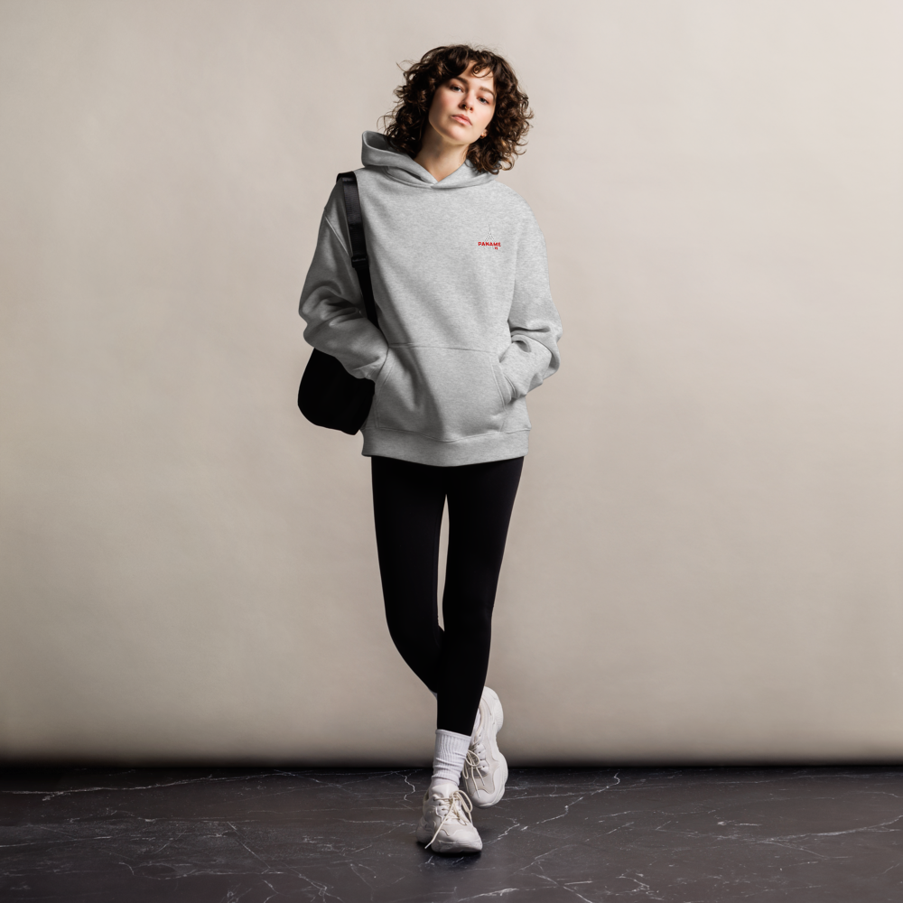 Sweat à capuche oversize unisexe gris clair Paname Origin 75